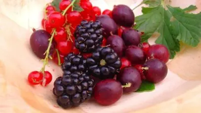 frutas vermelhas