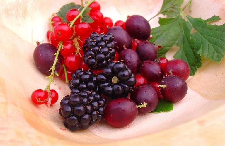 Benefícios das frutas vermelhas para a saúde