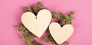 Entenda os impactos da cannabis para doenças crônicas