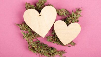 Entenda os impactos da cannabis para doenças crônicas