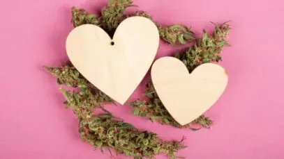 Entenda os impactos da cannabis para doenças crônicas