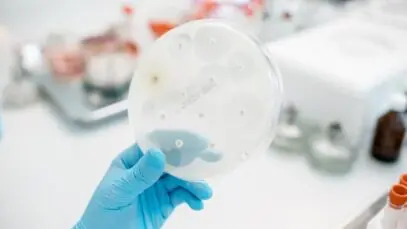 novo antibiótico