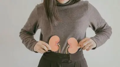 importância dos rins