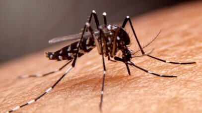 Dengue no Rio de Janeiro
