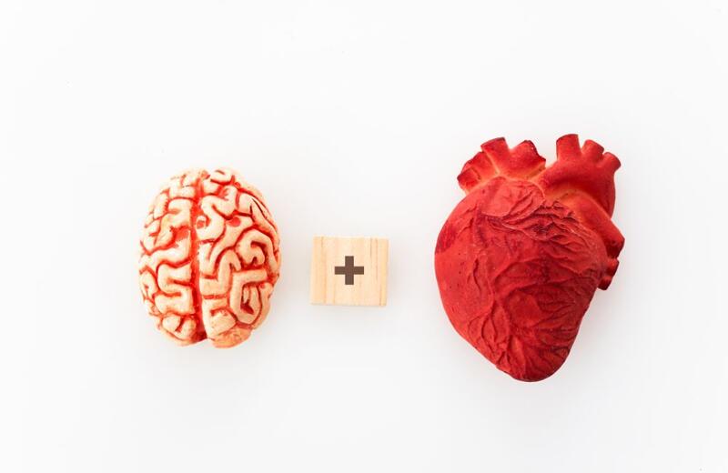 efeitos do amor no cérebro