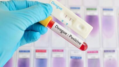 Autotestes para dengue