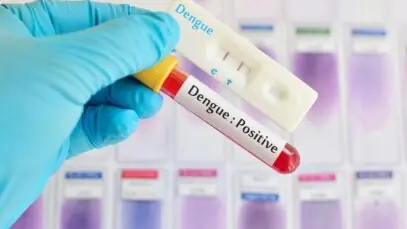 Autotestes para dengue