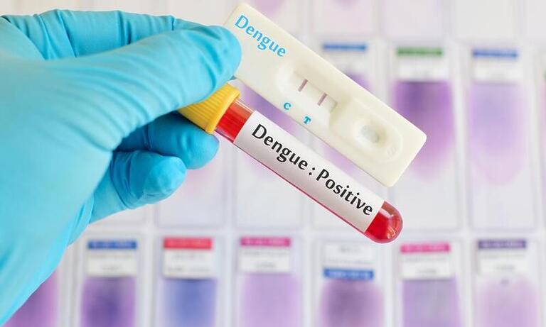 Autotestes para dengue