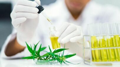 extrato de cannabis