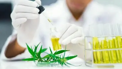 extrato de cannabis