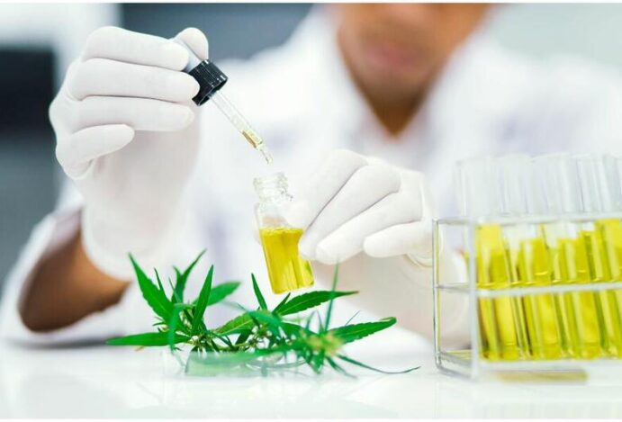 extrato de cannabis