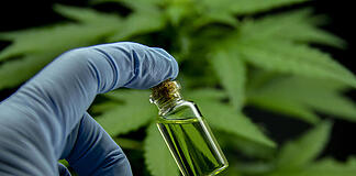 Cannabis medicinal nas farmácias