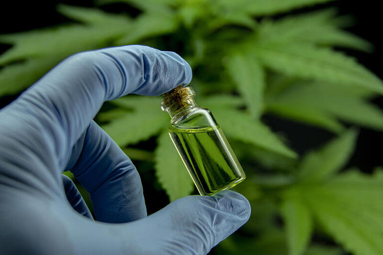 Cannabis medicinal nas farmácias