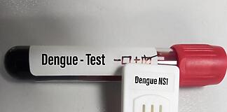 Testes de dengue