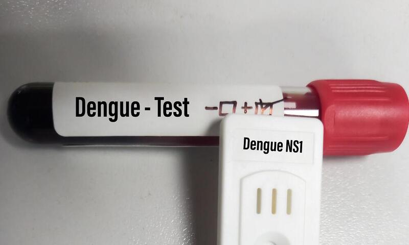 Testes de dengue