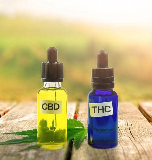 Quais são as diferenças entre CBD e THC?