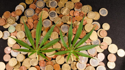 Fraude na venda de cannabis movimentou R$ 3,5 bi