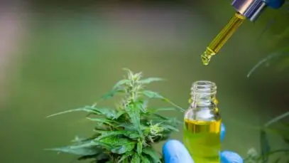 dispensa cannabis
