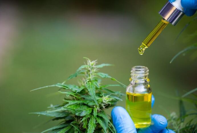 dispensa cannabis