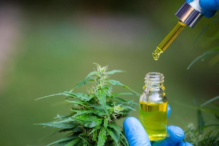 Farmacêutico: você sabe atuar na dispensação de cannabis?