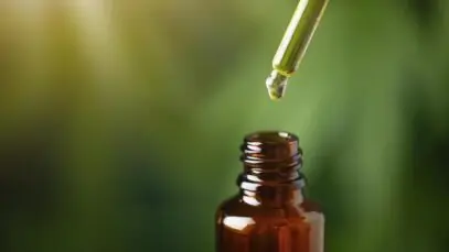 Marco regulatório da cannabis