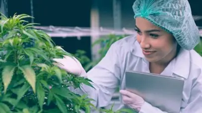 Medicamento inovador que premiou brasileira chega ao país