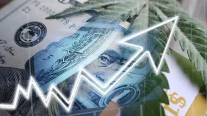 MERCADO DE CANNABIS Cannabis, cannabis medicinal, indústria farmacêutica