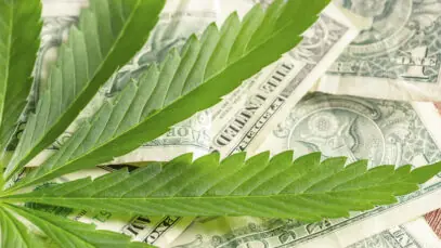 VENDAS GLOBAIS DE CANNABIS Cannabis, cannabis medicinal, indústria farmacêutica