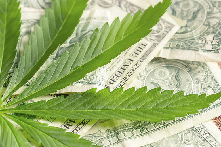 Vendas globais de cannabis atingirão R$ 328 bilhões até 2028