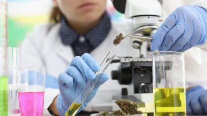 ESTUDOS CLÍNICOS DE CANNABIS Indústria de cannabis, cannabis medicinal, estudos clínicos