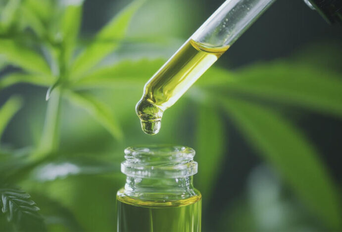 MERCADO DE CANNABIS NO NORDESTE, Canabidiol, cannabis medicinal, CBD