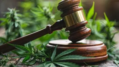 cannabis em farmácias de manipulação
