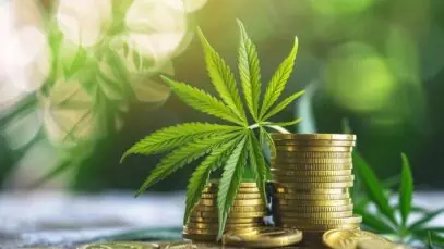 tributação de cannabis