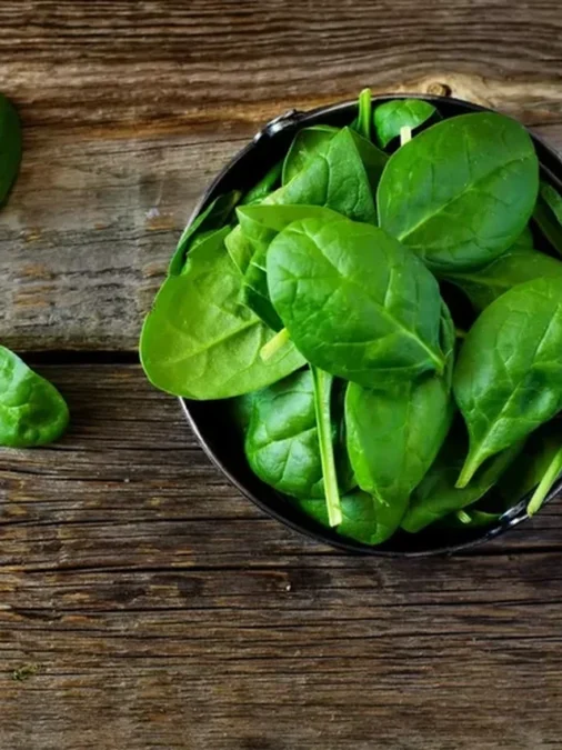 10 alimentos para aumentar as plaquetas do sangue Espinafre para as plaquetas