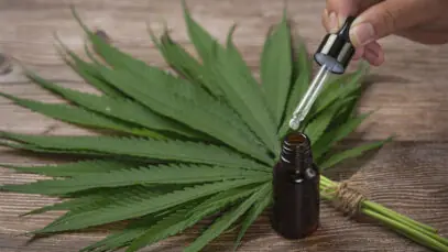 MANIPULAÇÃO DE CANNABIS Farmácia de manipulação, canabidiol, cannabis medicinal, Anvisa