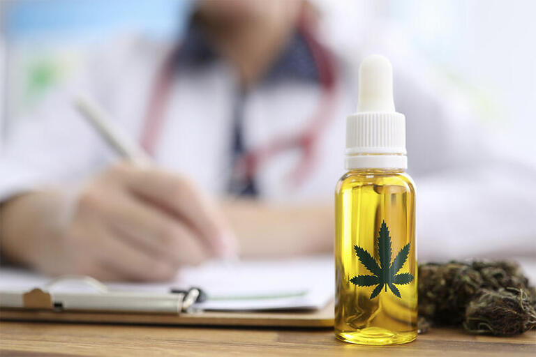 Curitiba pode ter campanha sobre cannabis medicinal
