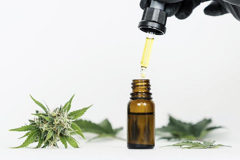 Produtos de cannabis aprovados crescem 76% em 2 anos