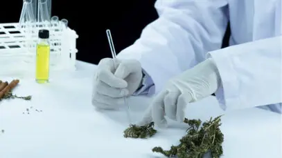 RECURSOS PARA INOVAÇÃO Cannabis medicinal, Finep