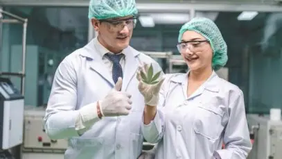 Fim da BRCann