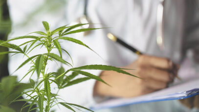 CONGRESSO BRASILEIRO DA CANNABIS MEDICINAL, Cannabis medicinal, cannabis