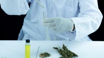 cannabis em farmácias de manipulação
