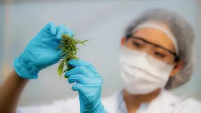 congresso brasileiro da cannabis medicinal