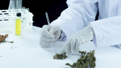 Estudo global analisa produção científica da cannabis