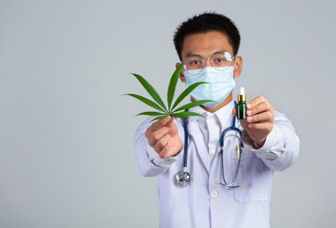 Atualização em cannabis medicinal