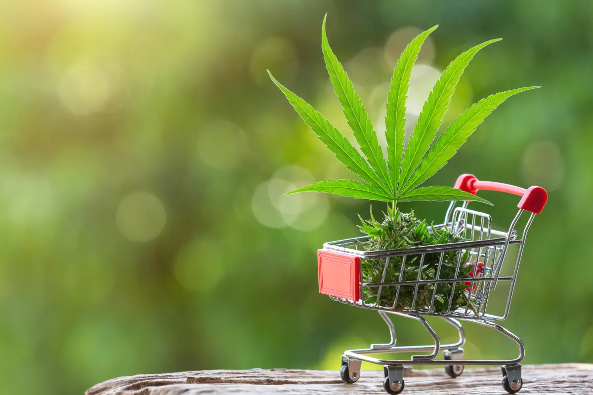 Saiba-os-caminhos-possíveis-para-a-propaganda-de-cannabis propaganda de cannabis, cannabis, publicidade, indústria farmacêutica