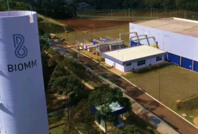 Brasil retoma produção nacional de insulina após 20 anos