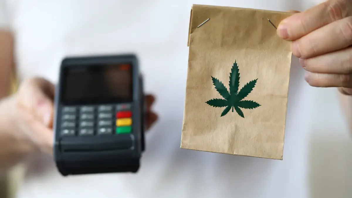 Mercado de cannabis pode atingir R$ 15 bilhões no Brasil