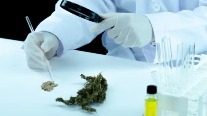Deputados debatem proposta sobre associações de cannabis