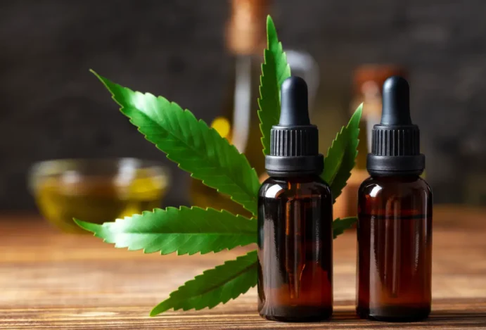 Setor propõe marco regulatório para pesquisas sobre cannabis