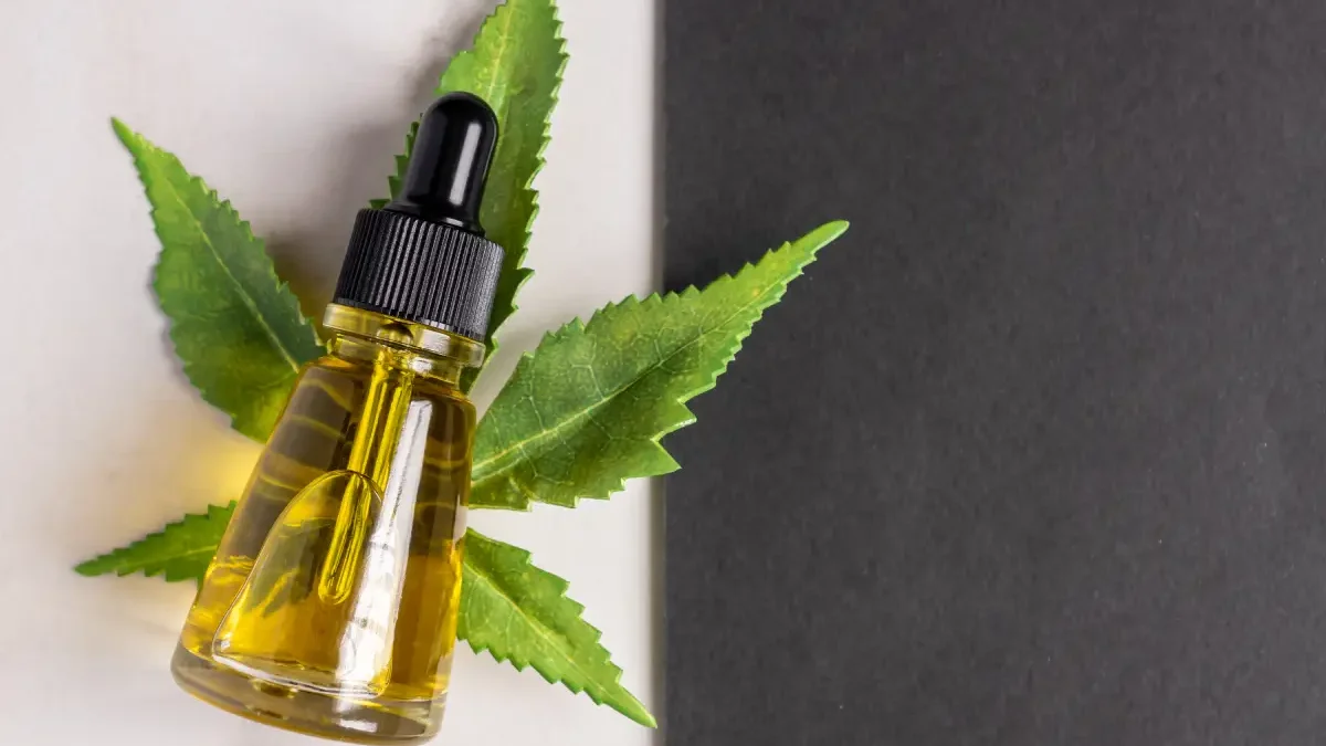 Anvisa proíbe venda de cannabis da Forest Medical